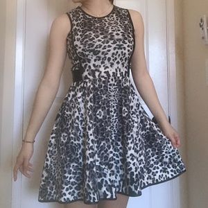 Leopard print A-line dress with leather trim!!